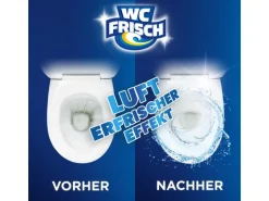 WC Frisch WC-Reiniger Kraft-Aktiv Reiniger Blütenfrische 750 ml