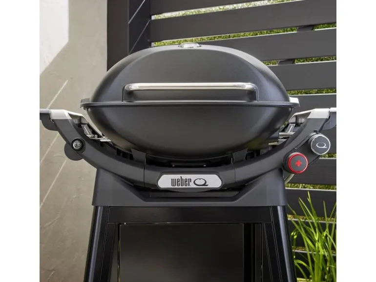 Weber Gasgrill Q3200N+ mit Rollwagen