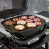 Weber Gasgrill Q1200N mit Stand