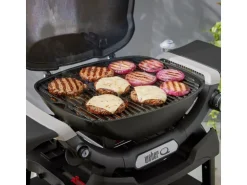 Weber Gasgrill Q1200N mit Stand