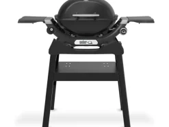 Weber Gasgrill Q1200N mit Stand