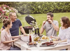 Weber Holzkohlegrill Master-Touch GBS E-5770