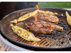 Weber Holzkohlegrill Performer Ø 57 cm
