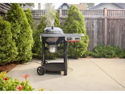 Weber Holzkohlegrill Performer Smart Ø 57 cm