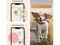 Weenect GPS-Tracker für Hunde XT mit Halsband schwarz