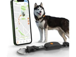 Weenect GPS-Tracker für Hunde XT mit Halsband schwarz