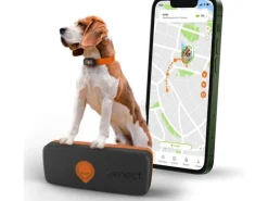 Weenect GPS-Tracker XS für Hunde, Schwarz