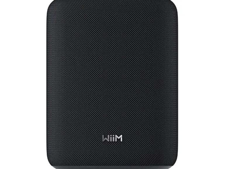WiiM Lautsprecher Sound Lite Schwarz