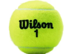 Wilson Tennisball Champ XD 3er-Pack