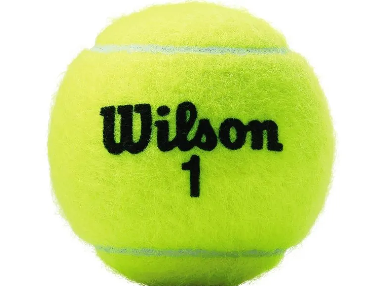 Wilson Tennisball Champ XD 3er-Pack