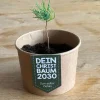 Wunderle Geschenkbox Weihnachtsbaum