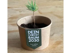 Wunderle Geschenkbox Weihnachtsbaum
