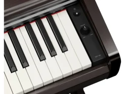 Yamaha E-Piano Arius YDP-146R