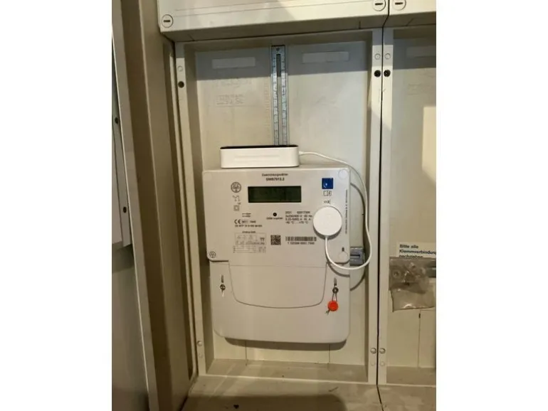 Zendure Energiemessgerät Smart Meter D0