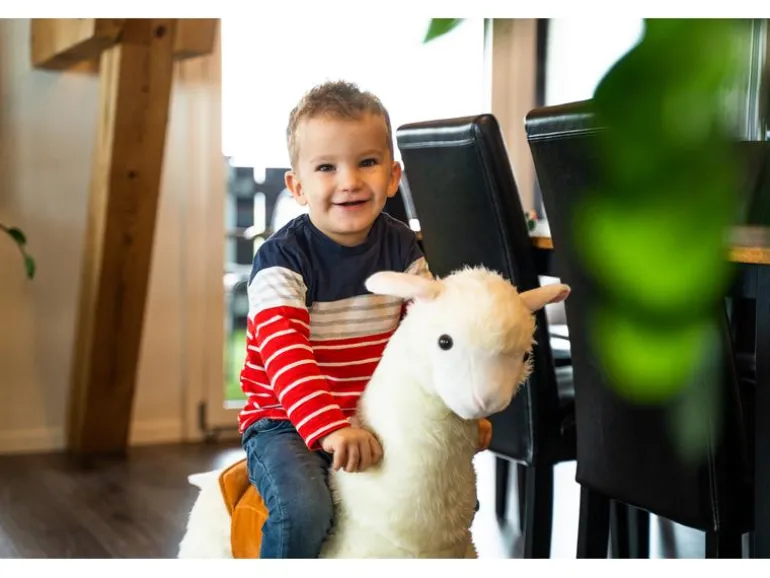 zoosy Reittier Lama